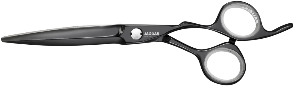 geestelijke gezondheid Souvenir overal Jaguar Heron Titan 6 Inch knipschaar met etui kopen? | Hairaction.nl